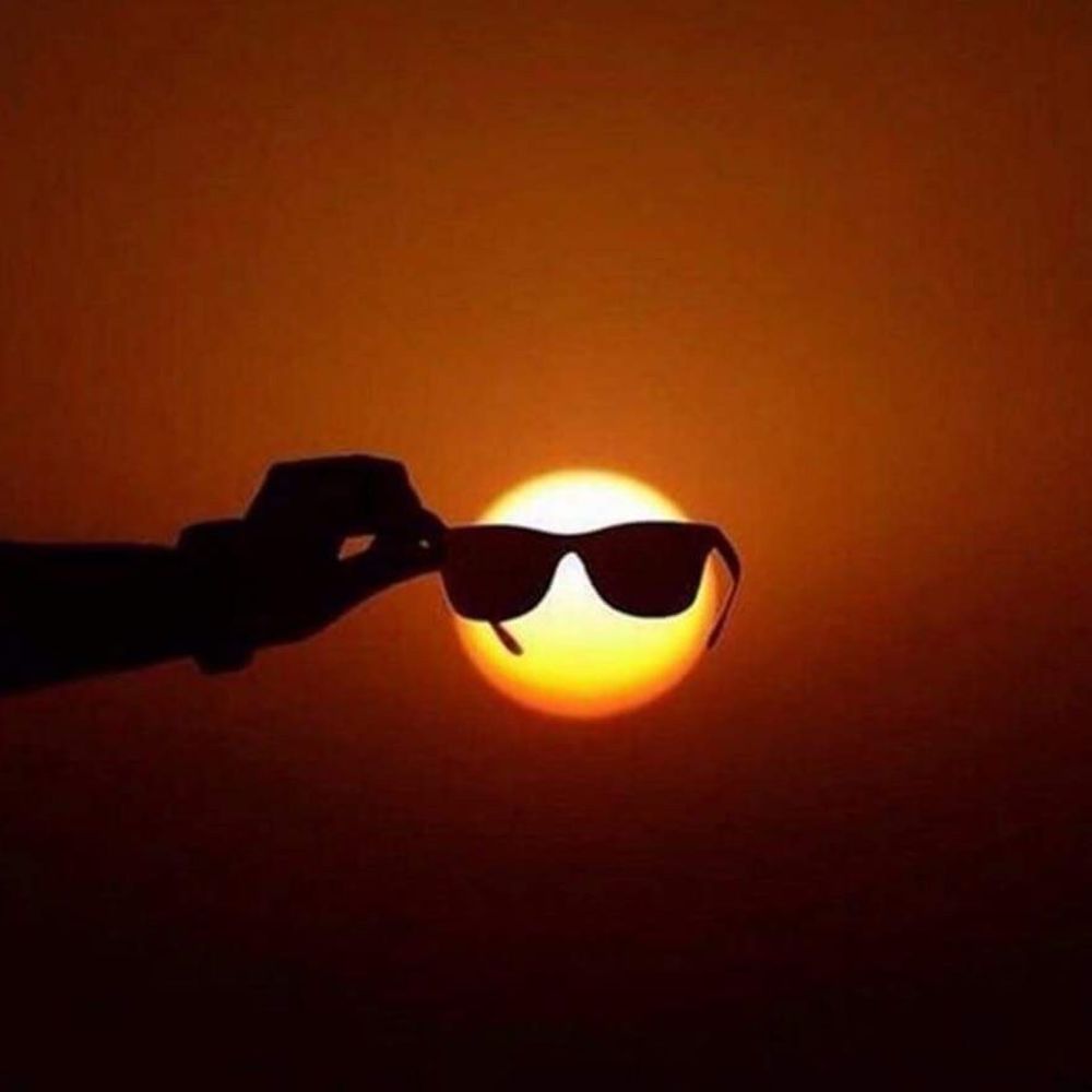 Meet your Posher, Penny